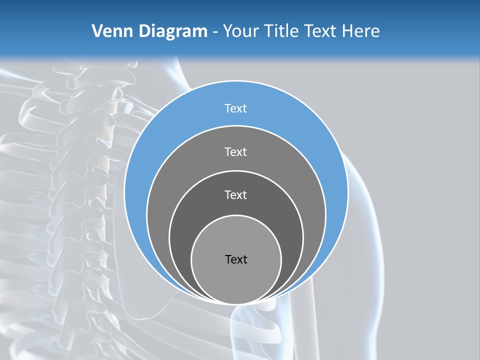 A Skeleton With A Highlighted Shoulder Is Shown In This Powerpoint Presentation PowerPoint Template