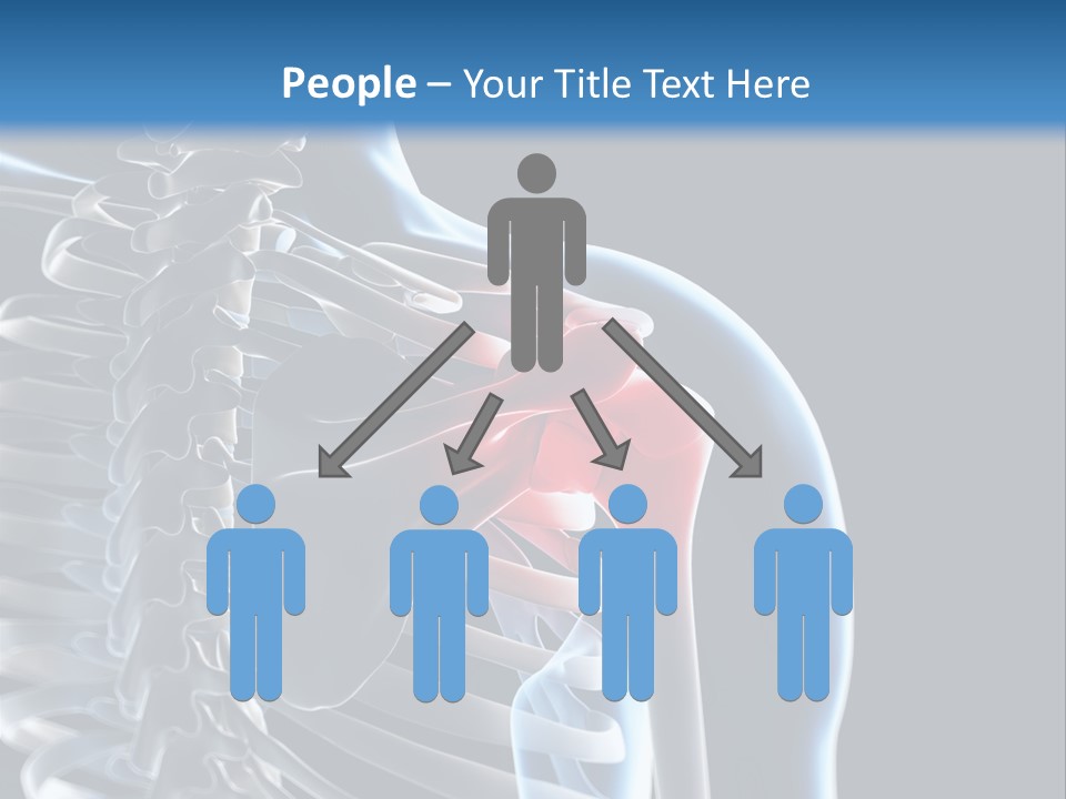 A Skeleton With A Highlighted Shoulder Is Shown In This Powerpoint Presentation PowerPoint Template