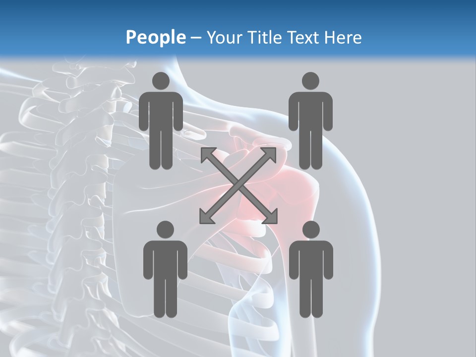 A Skeleton With A Highlighted Shoulder Is Shown In This Powerpoint Presentation PowerPoint Template