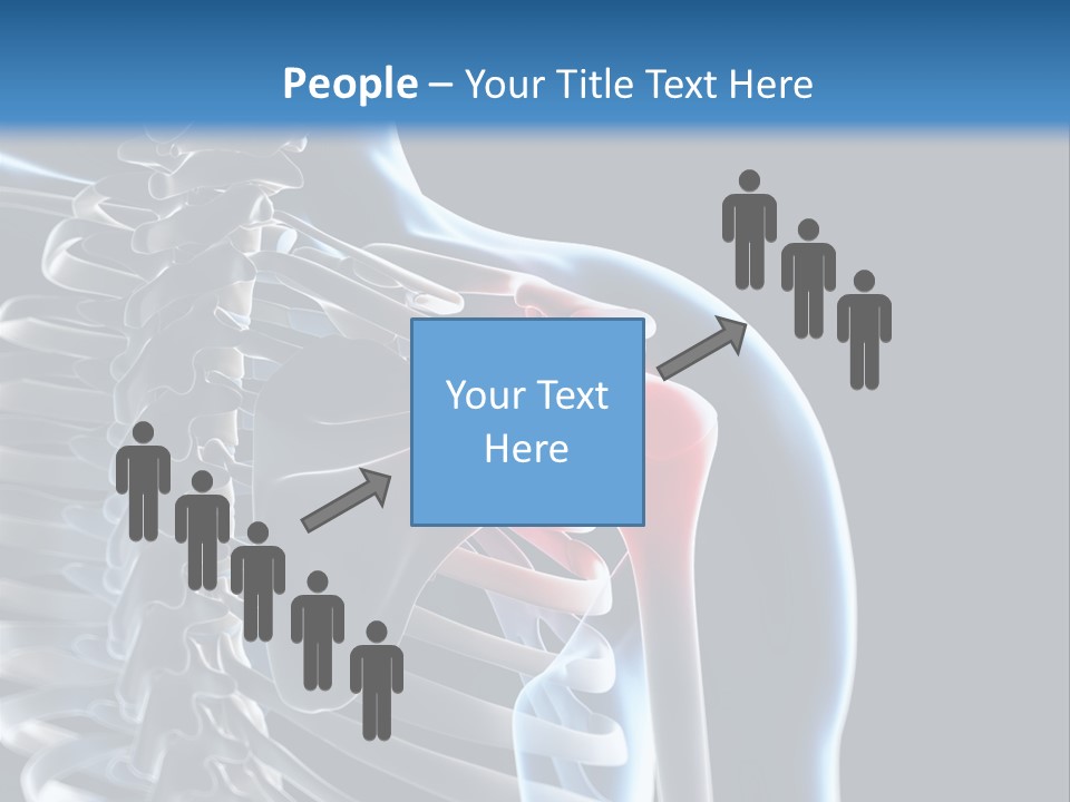A Skeleton With A Highlighted Shoulder Is Shown In This Powerpoint Presentation PowerPoint Template