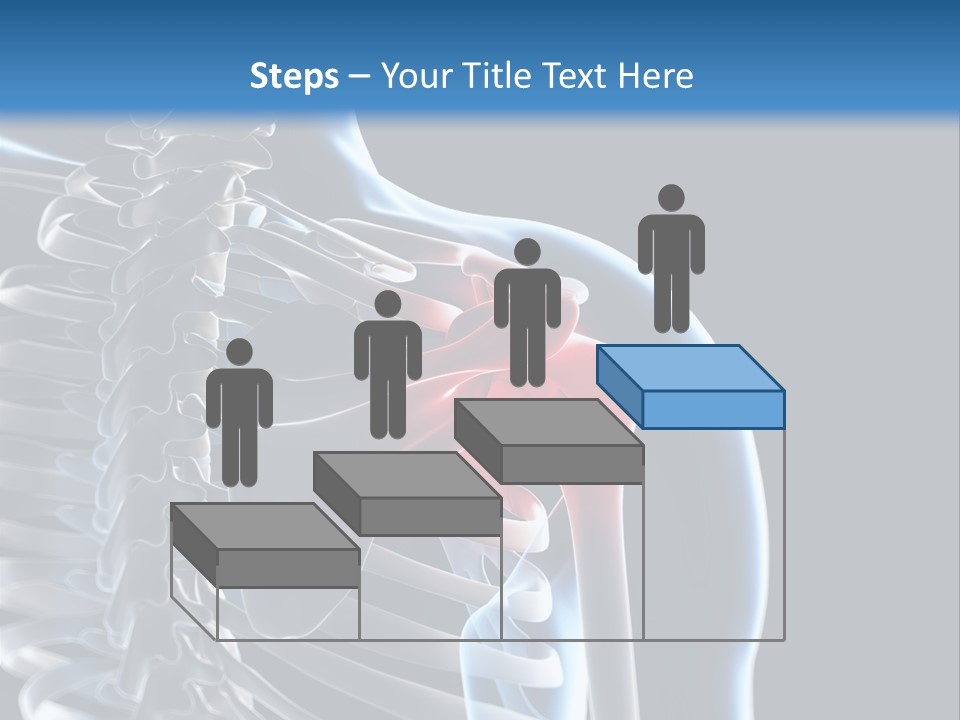 A Skeleton With A Highlighted Shoulder Is Shown In This Powerpoint Presentation PowerPoint Template