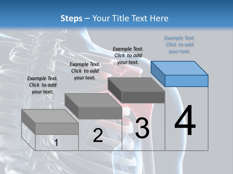 A Skeleton With A Highlighted Shoulder Is Shown In This Powerpoint Presentation PowerPoint Template