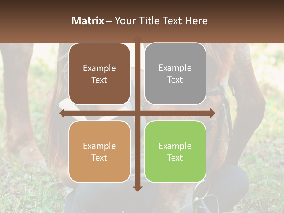 A Girl Reading A Book Next To A Horse PowerPoint Template