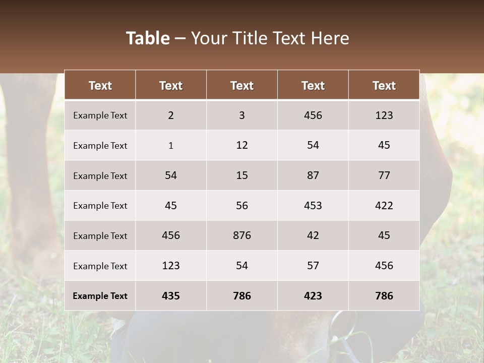A Girl Reading A Book Next To A Horse PowerPoint Template