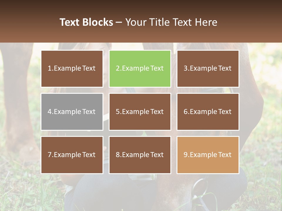 A Girl Reading A Book Next To A Horse PowerPoint Template