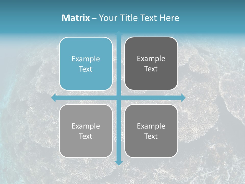 A Large Group Of Corals In The Ocean PowerPoint Template