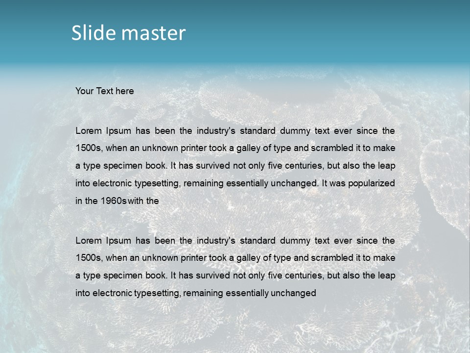 A Large Group Of Corals In The Ocean PowerPoint Template