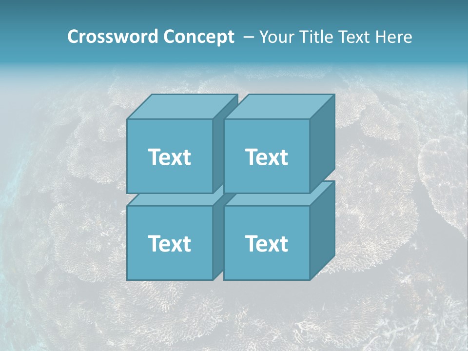 A Large Group Of Corals In The Ocean PowerPoint Template