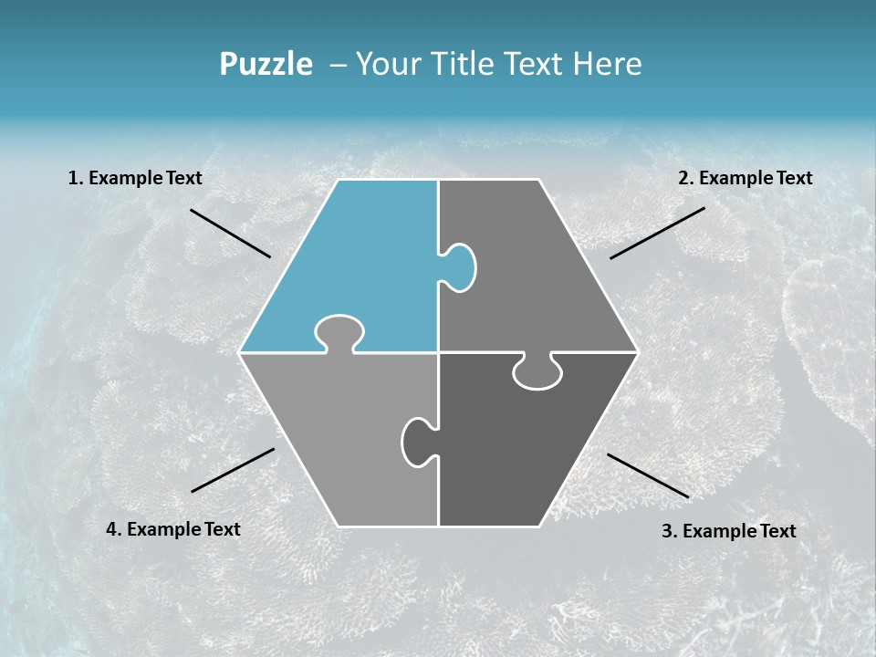 A Large Group Of Corals In The Ocean PowerPoint Template