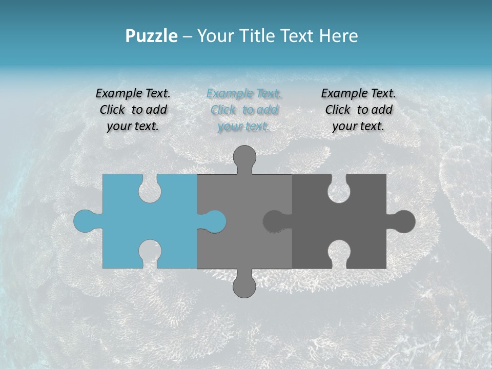 A Large Group Of Corals In The Ocean PowerPoint Template