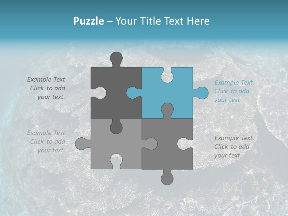 A Large Group Of Corals In The Ocean PowerPoint Template