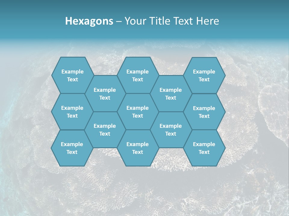 A Large Group Of Corals In The Ocean PowerPoint Template