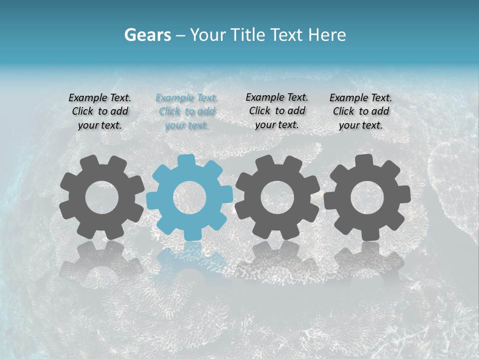 A Large Group Of Corals In The Ocean PowerPoint Template