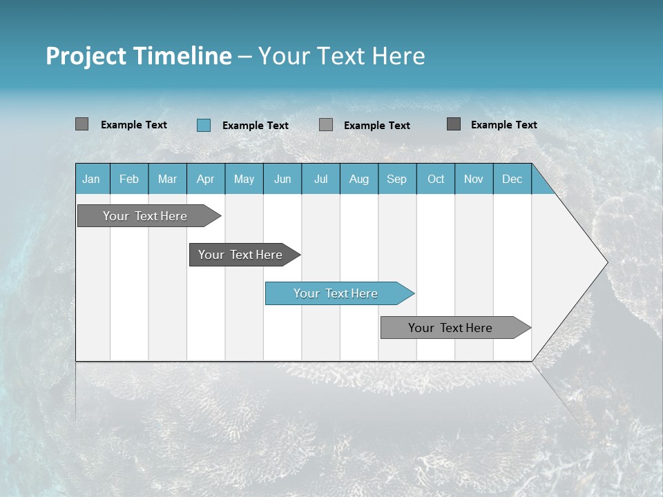 A Large Group Of Corals In The Ocean PowerPoint Template
