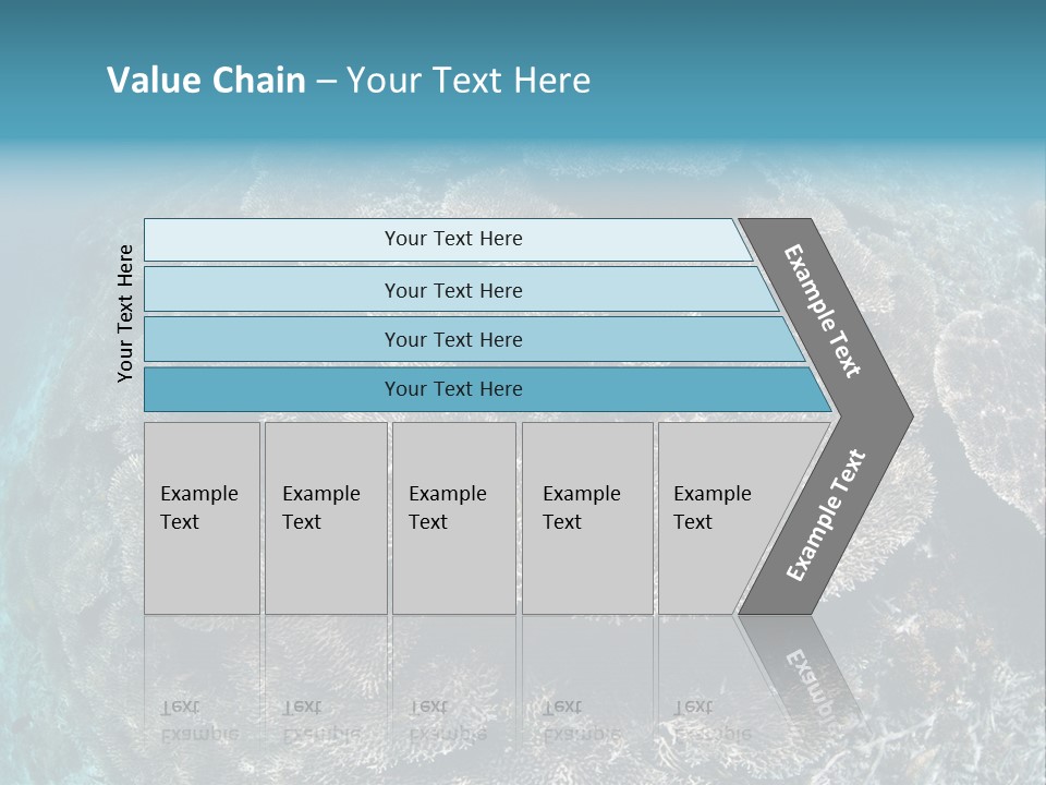 A Large Group Of Corals In The Ocean PowerPoint Template