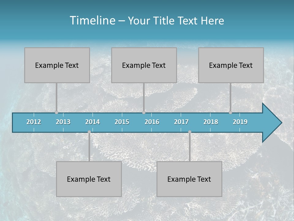 A Large Group Of Corals In The Ocean PowerPoint Template