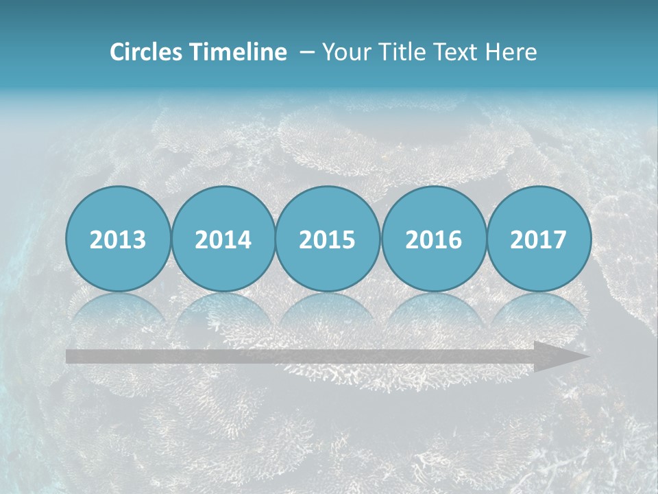 A Large Group Of Corals In The Ocean PowerPoint Template