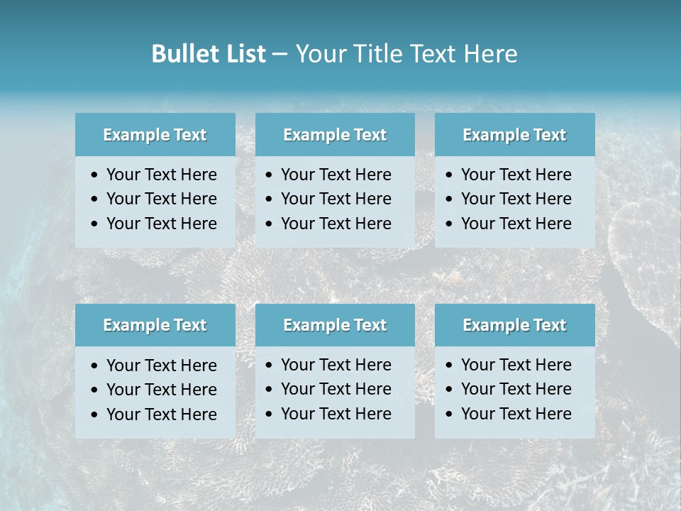 A Large Group Of Corals In The Ocean PowerPoint Template