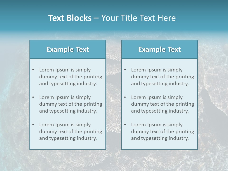 A Large Group Of Corals In The Ocean PowerPoint Template
