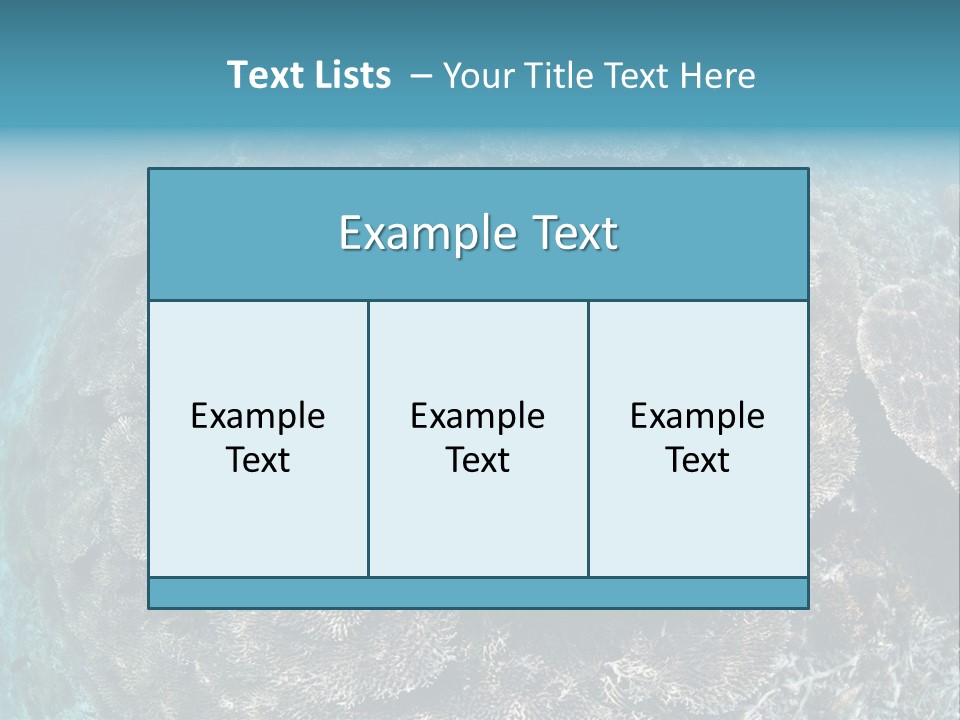 A Large Group Of Corals In The Ocean PowerPoint Template