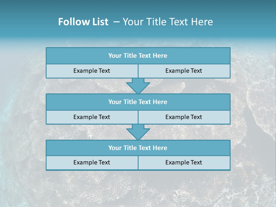 A Large Group Of Corals In The Ocean PowerPoint Template