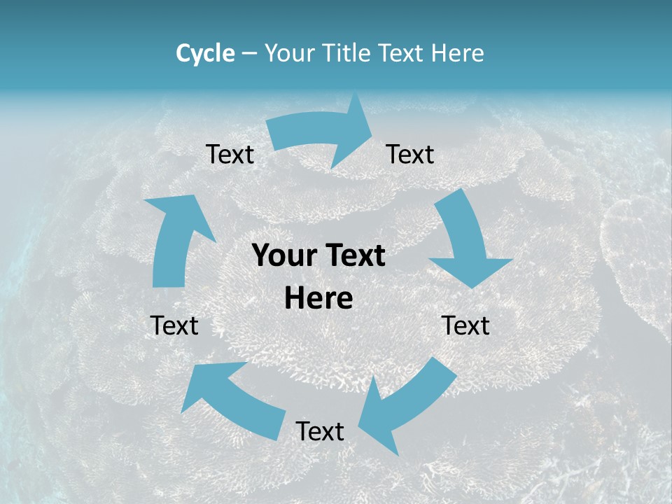 A Large Group Of Corals In The Ocean PowerPoint Template