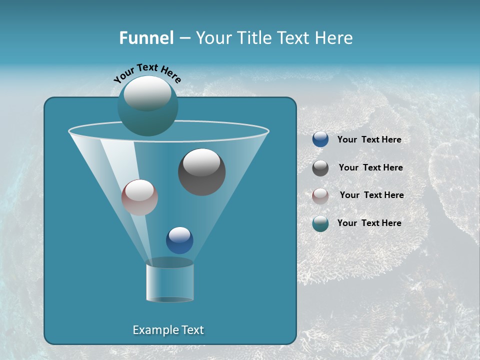 A Large Group Of Corals In The Ocean PowerPoint Template