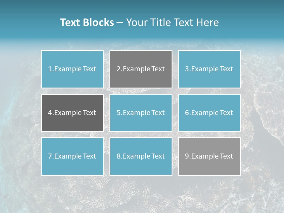 A Large Group Of Corals In The Ocean PowerPoint Template