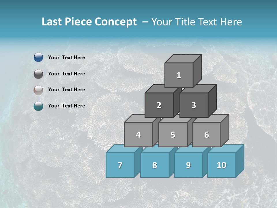 A Large Group Of Corals In The Ocean PowerPoint Template