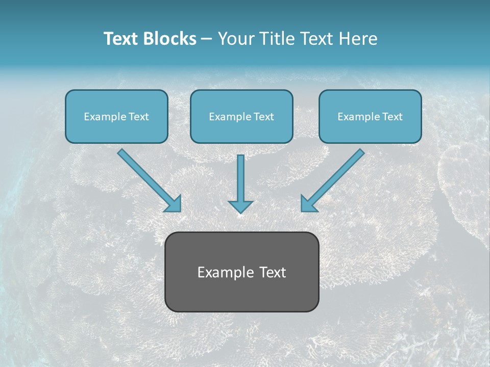 A Large Group Of Corals In The Ocean PowerPoint Template
