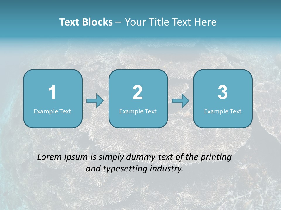 A Large Group Of Corals In The Ocean PowerPoint Template