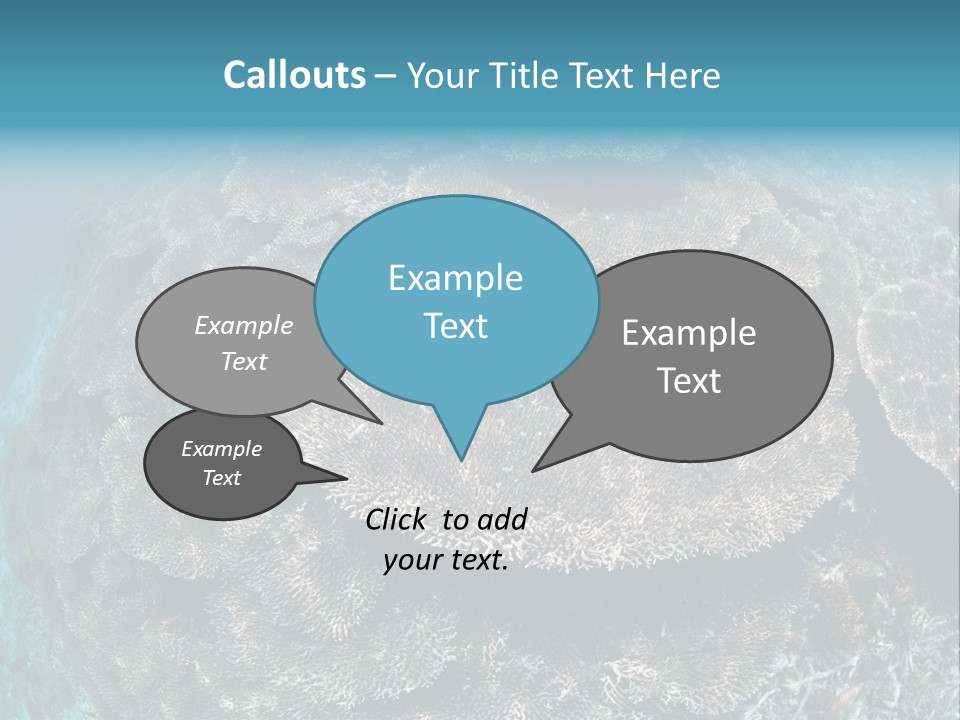 A Large Group Of Corals In The Ocean PowerPoint Template