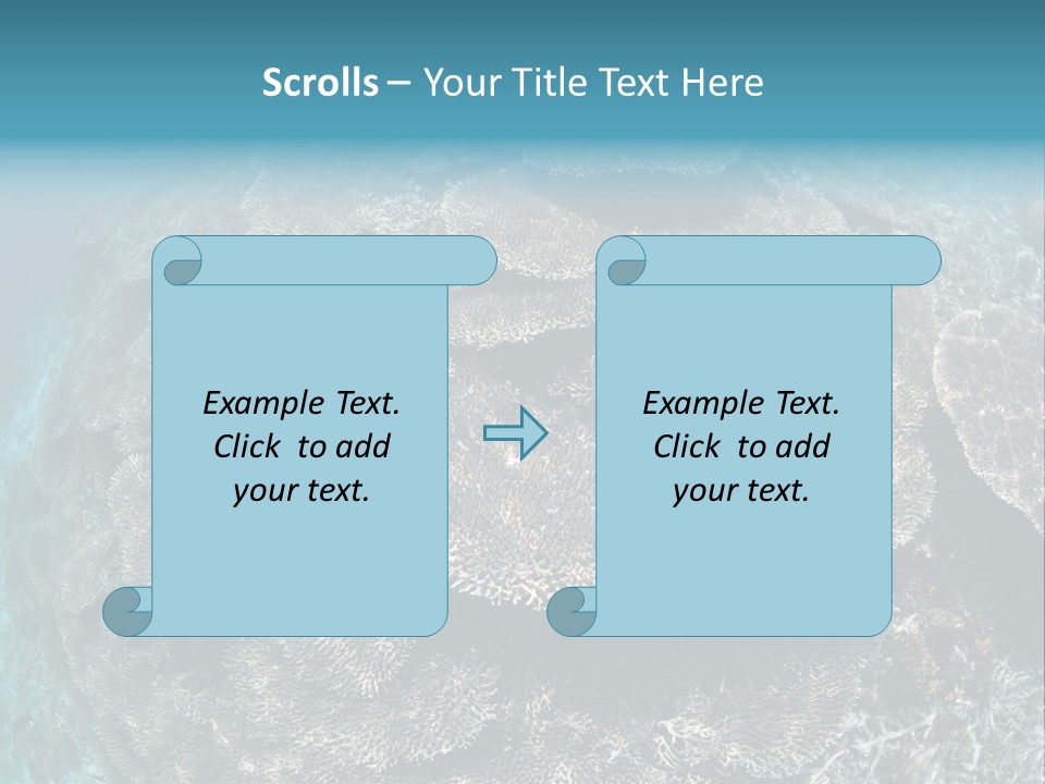 A Large Group Of Corals In The Ocean PowerPoint Template