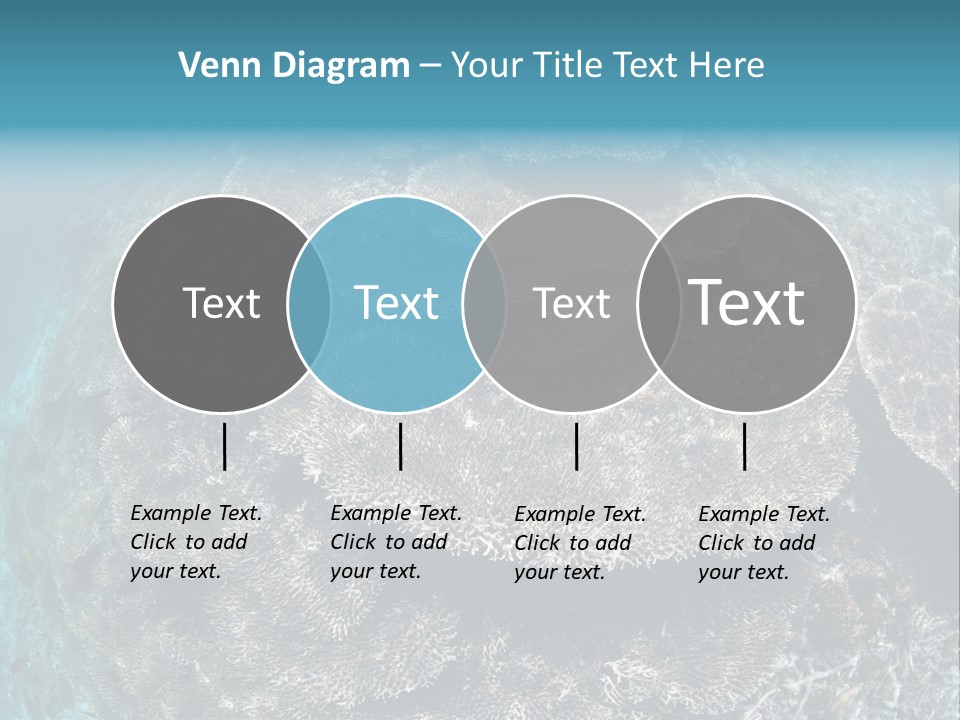 A Large Group Of Corals In The Ocean PowerPoint Template
