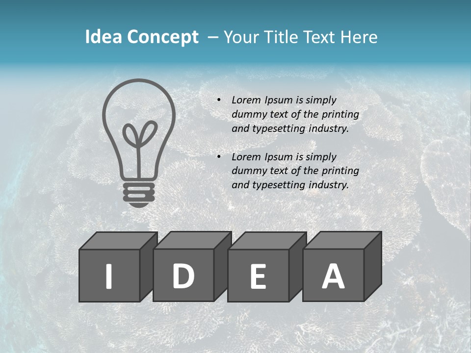 A Large Group Of Corals In The Ocean PowerPoint Template