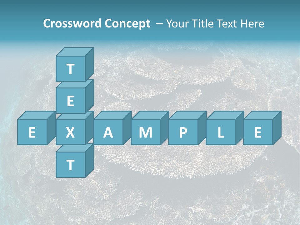 A Large Group Of Corals In The Ocean PowerPoint Template