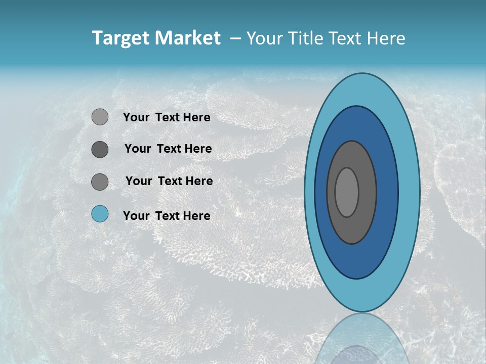 A Large Group Of Corals In The Ocean PowerPoint Template