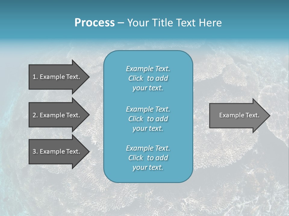 A Large Group Of Corals In The Ocean PowerPoint Template