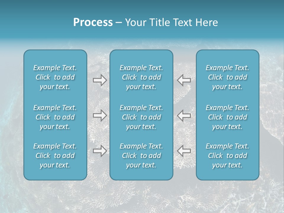 A Large Group Of Corals In The Ocean PowerPoint Template