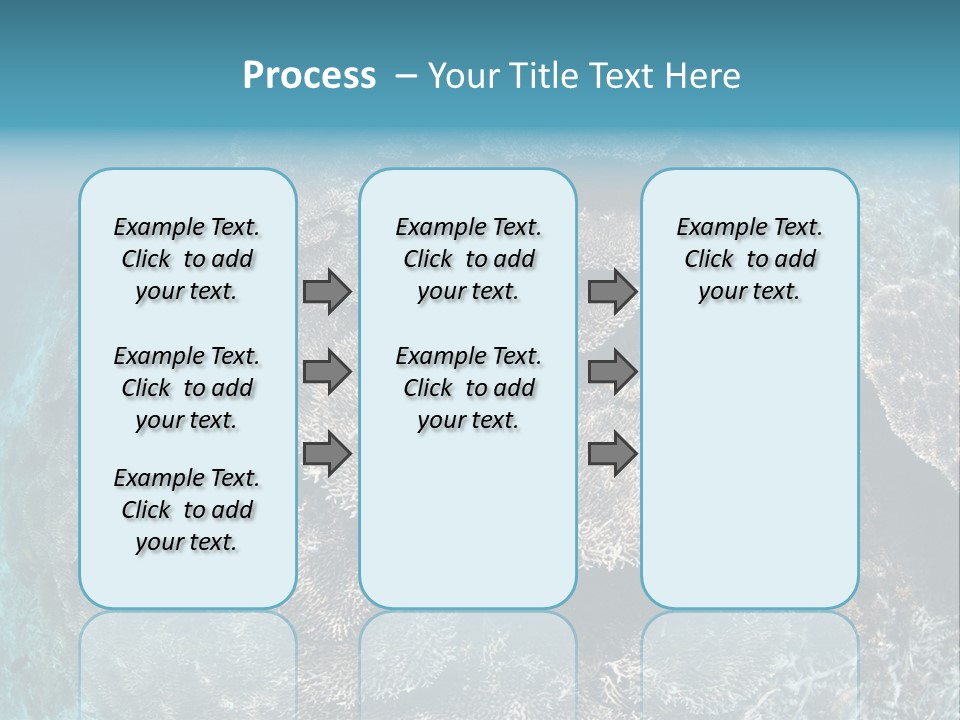 A Large Group Of Corals In The Ocean PowerPoint Template