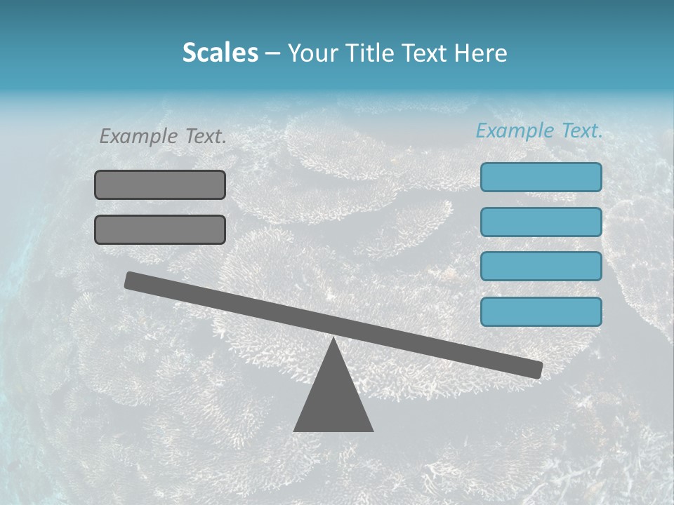 A Large Group Of Corals In The Ocean PowerPoint Template