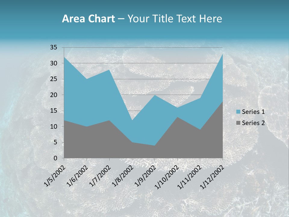 A Large Group Of Corals In The Ocean PowerPoint Template