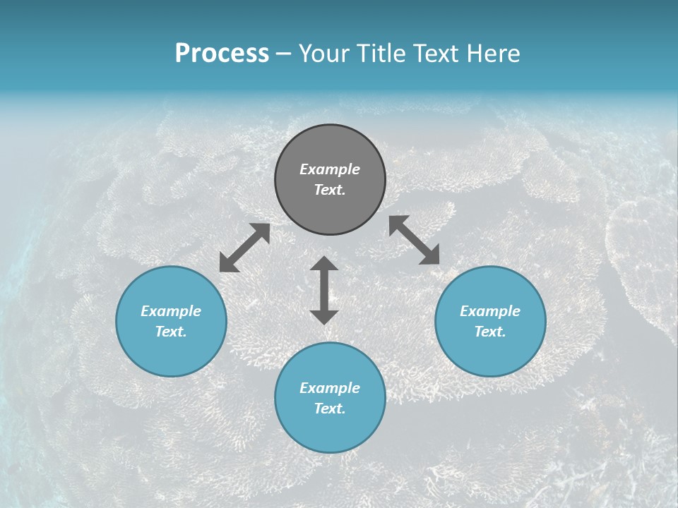 A Large Group Of Corals In The Ocean PowerPoint Template