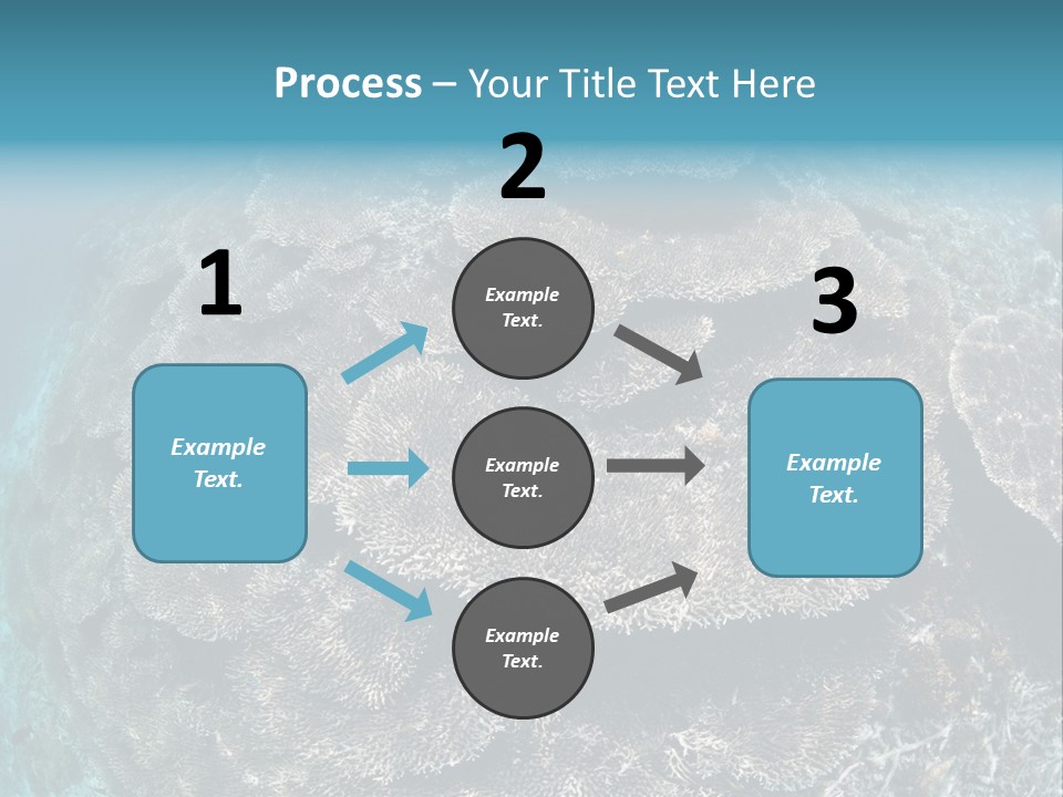 A Large Group Of Corals In The Ocean PowerPoint Template