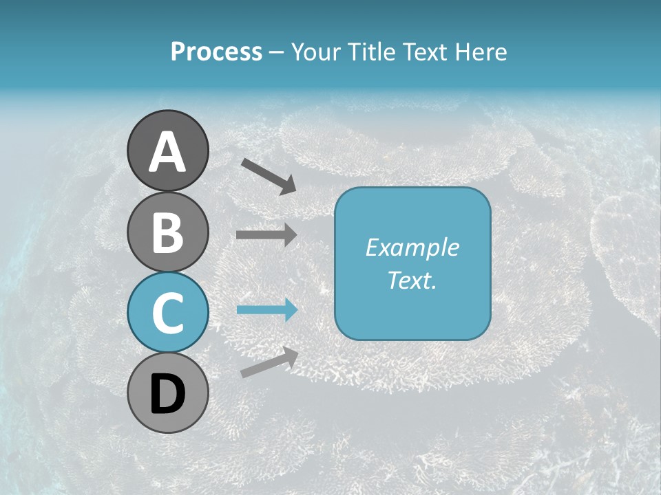 A Large Group Of Corals In The Ocean PowerPoint Template