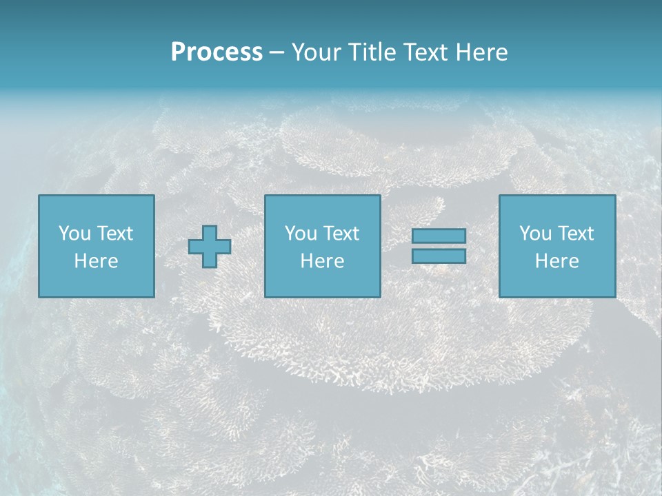 A Large Group Of Corals In The Ocean PowerPoint Template