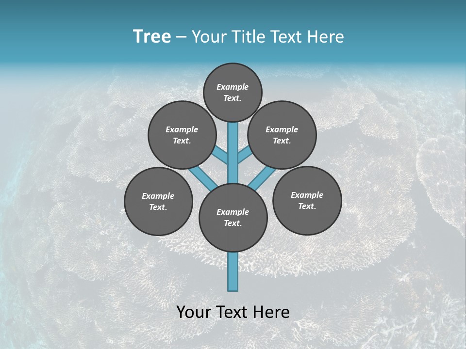 A Large Group Of Corals In The Ocean PowerPoint Template
