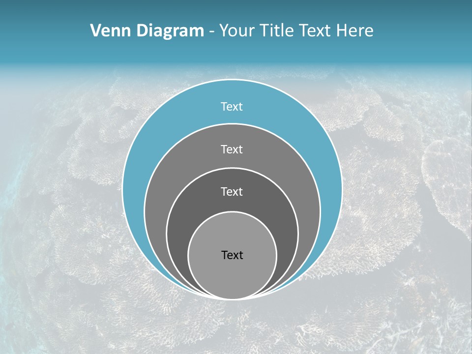 A Large Group Of Corals In The Ocean PowerPoint Template