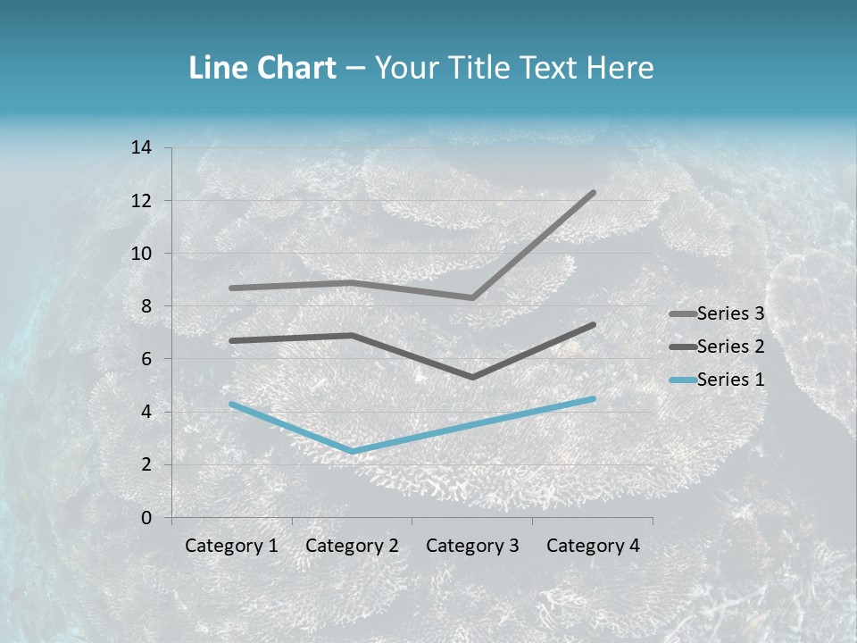 A Large Group Of Corals In The Ocean PowerPoint Template