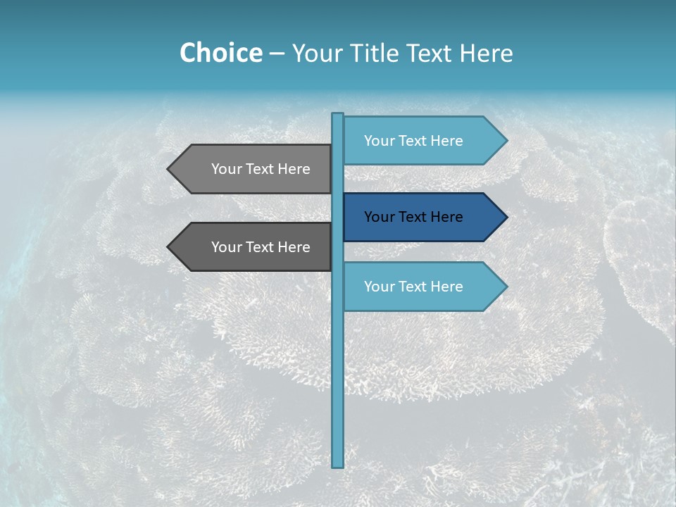 A Large Group Of Corals In The Ocean PowerPoint Template